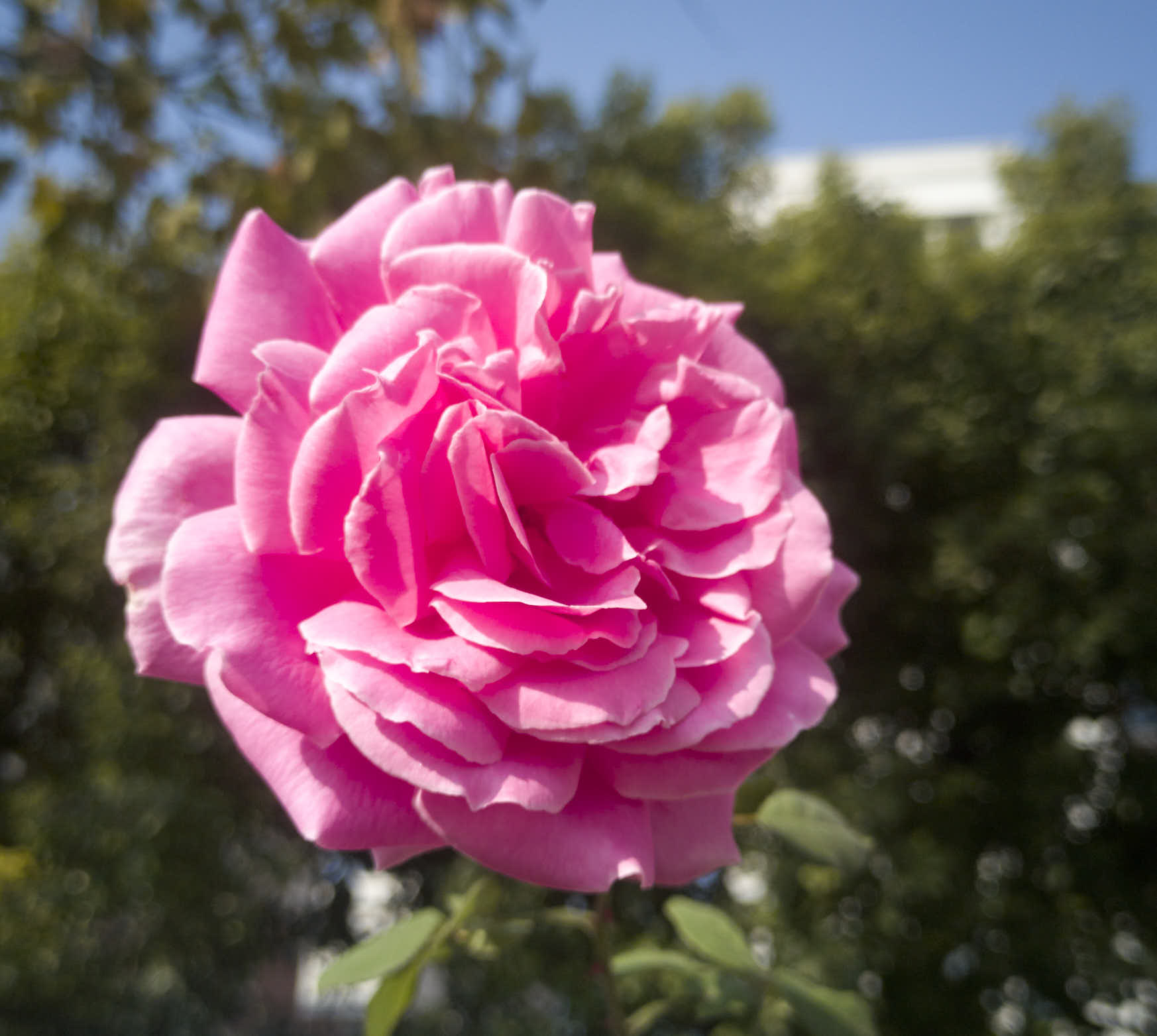 IMG 20201115 091044 1